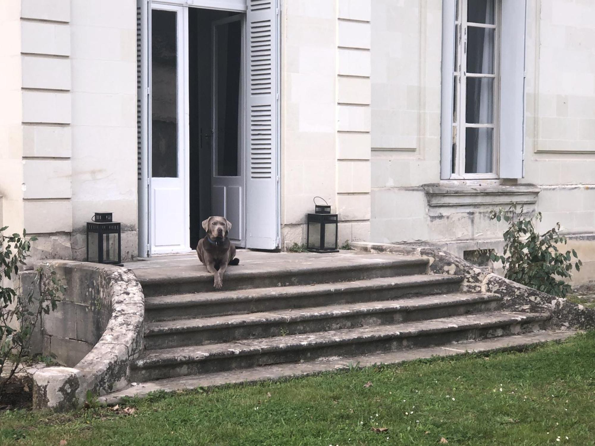 La Grande Carrée Bed and Breakfast Saint-Cyr-sur-Loire Exterior foto