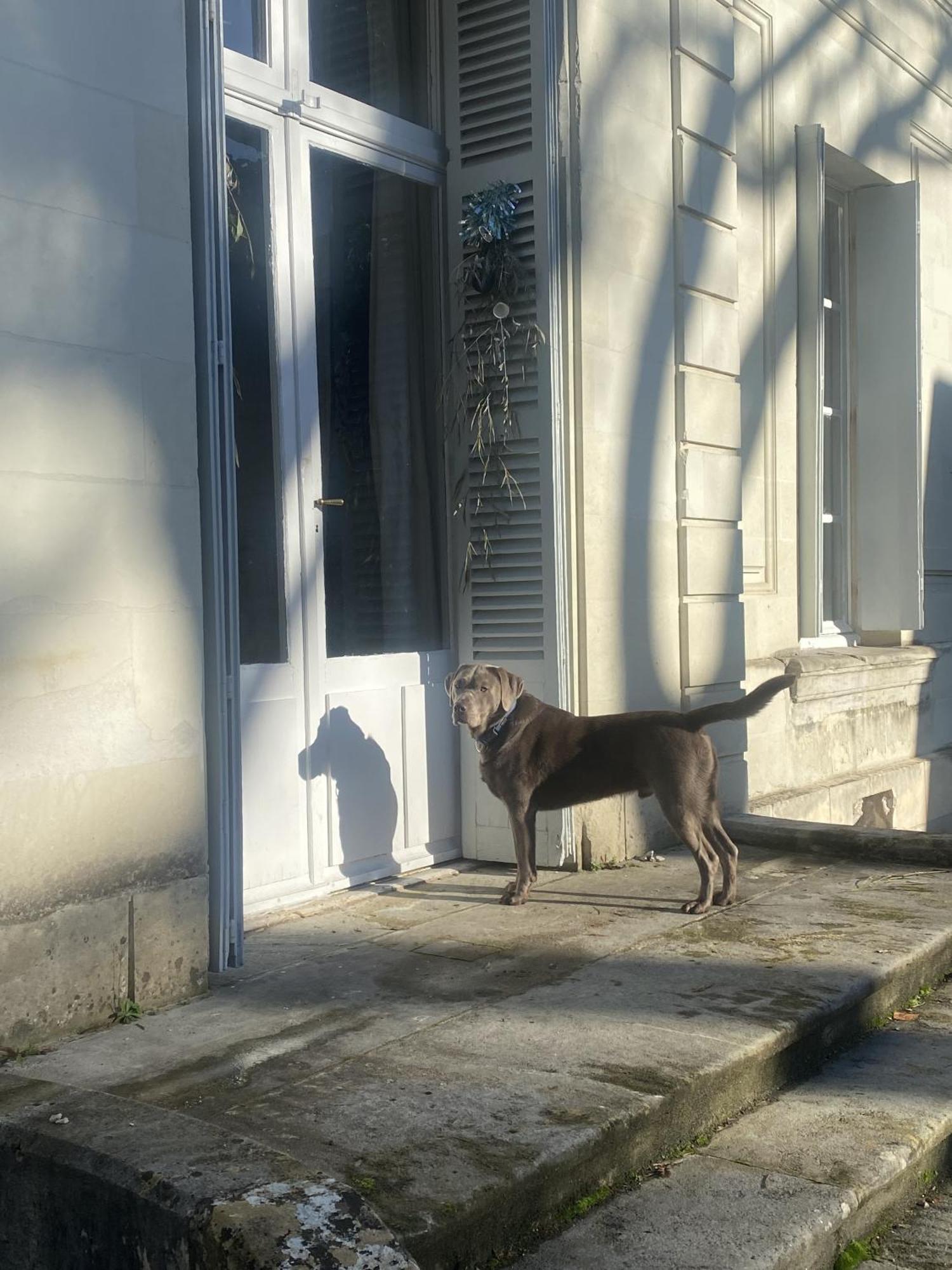 La Grande Carrée Bed and Breakfast Saint-Cyr-sur-Loire Exterior foto